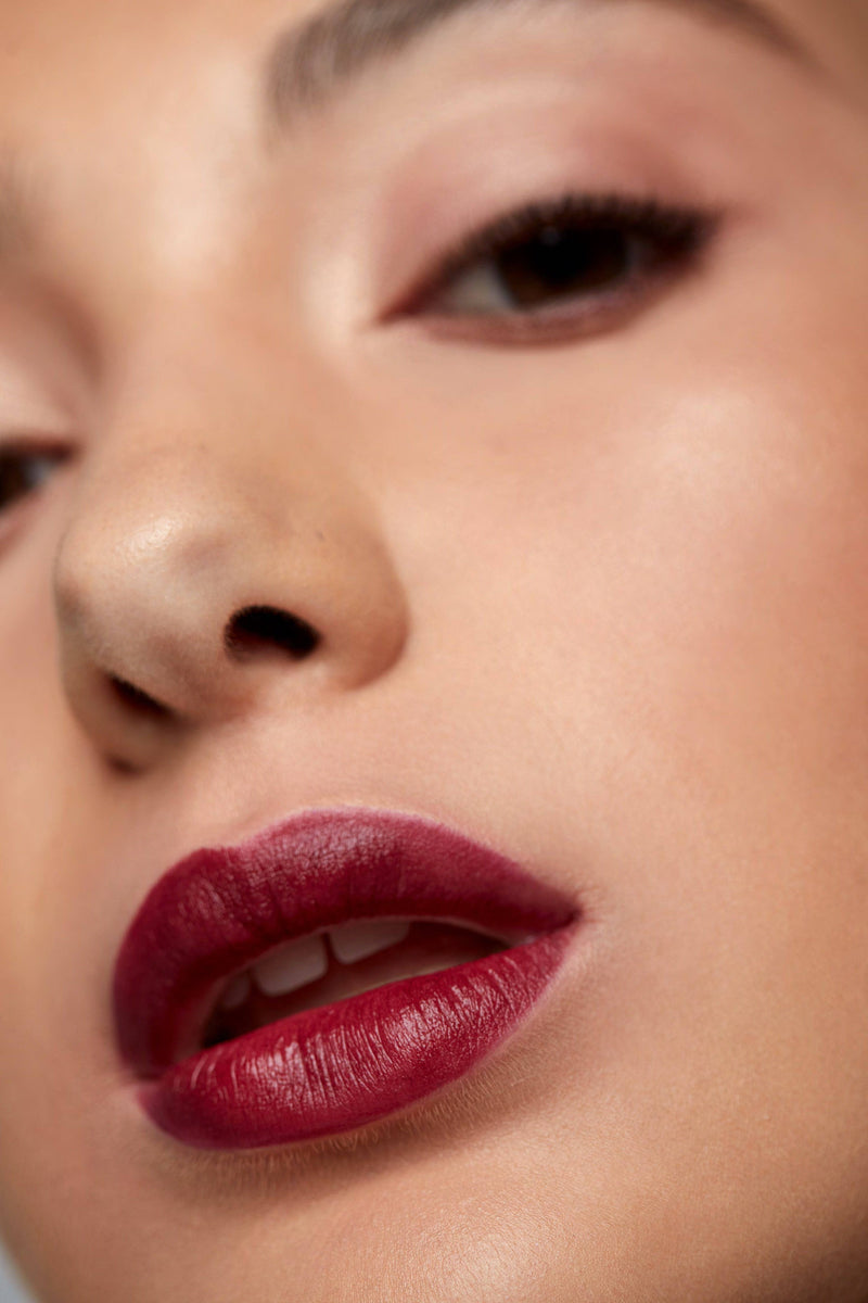 Cream Lipstick in Eggplant LARITZY Cosmetics